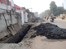 गर्भवती हथिनी को पटाखा देकर मार देन