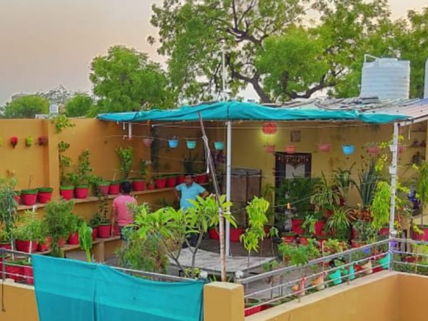 4 साल पहले 20 पौधे लगाकर शुरुआत की,