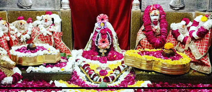 भोपाल में वटवृक्ष से प्रकट हुआ शिवल