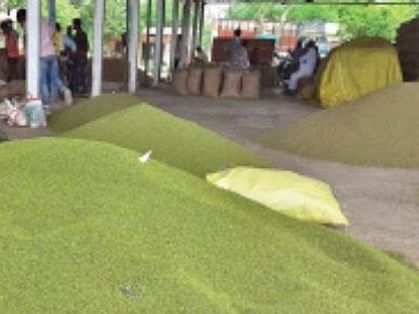 शाम को तय हुए केंद्र, 133 केंद्रों 