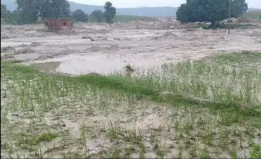 शिवराज सिंह के लाड़ले रिलायंस पावर 