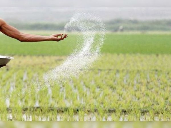 DAP खाद के रेट में 58% का इजाफा, 12