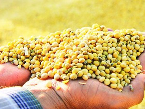 5 अफसरों के निलंबन के बाद DDA भोपाल