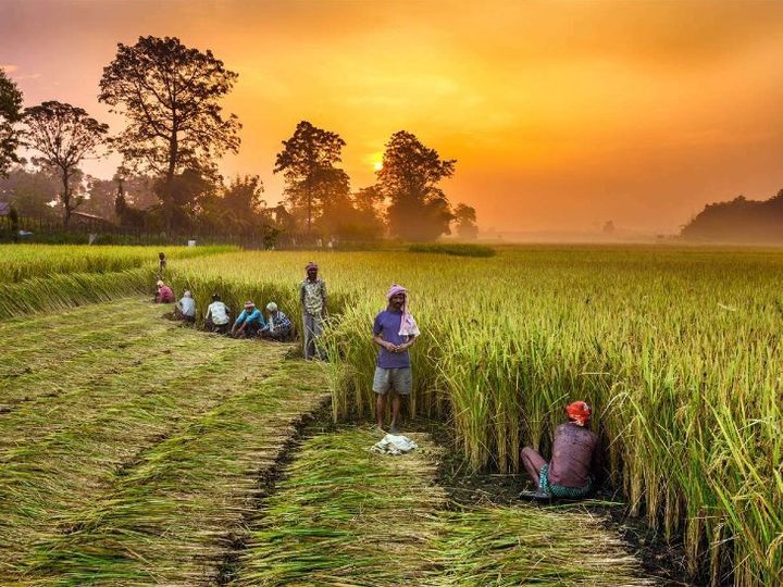 MP में सुलह बोर्ड का गठन होगा, तहसी