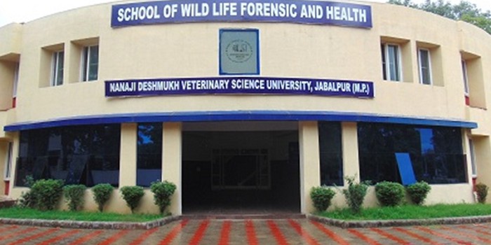 वेटरनरी विश्वविद्यालय जबलपुर का परी
