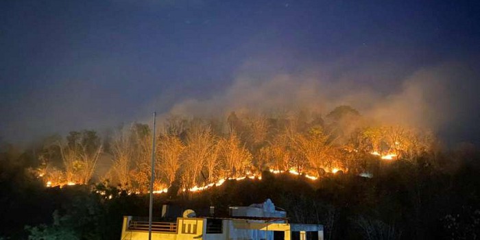 मदन महल की पहाड़ियों में भीषण आग, क्