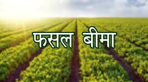 किसान 31 जुलाई तक करवा सकते हैं फसल