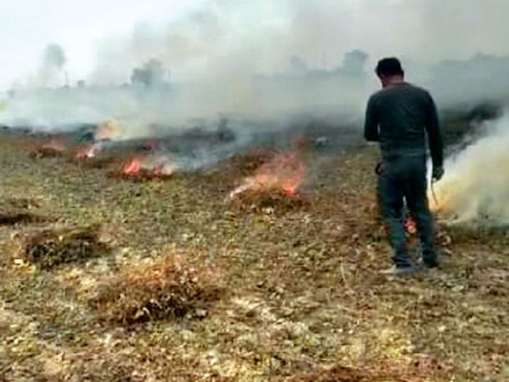 सांवेर के सैकड़ों किसानों की सोयाबीन