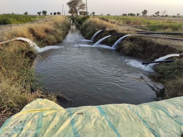 5 किसान अपने तालाब और ट्यूबवेल से स
