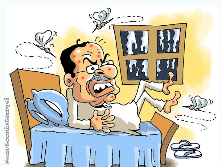 सीधी रेस्ट हाउस में मच्छरों ने शिवर