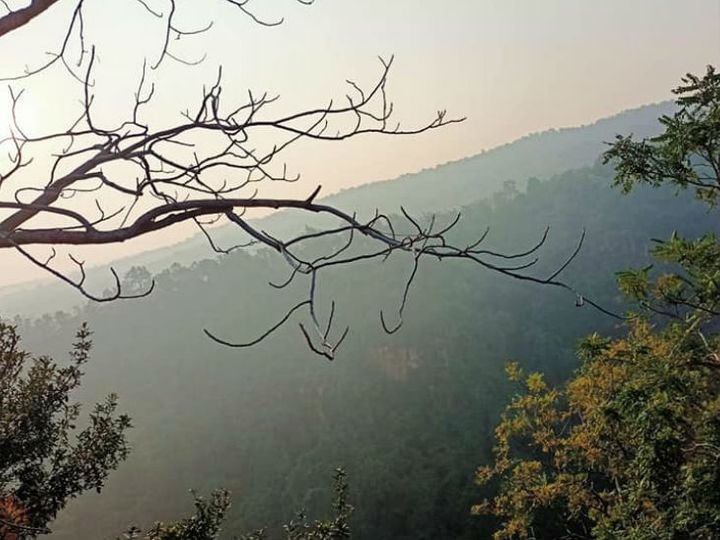 वीकेंड पर धुंध के बीच खिलखिला उठी प