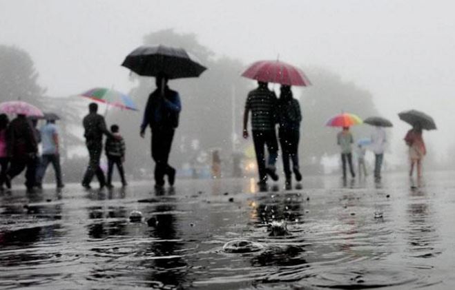 जिले में 20 इंच से अधिक वर्षा