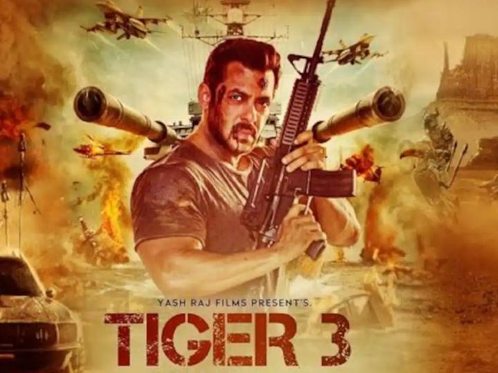 'टाइगर 3':फिल्म में अपने किरदार के 