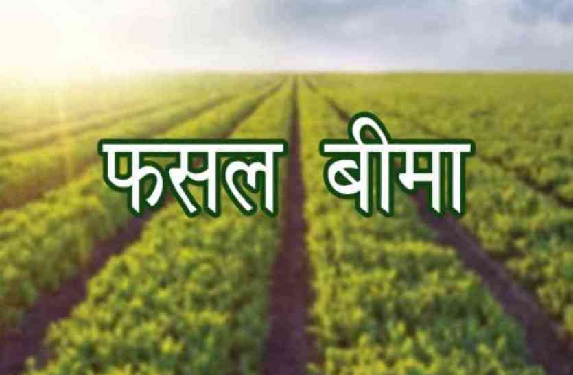 फसल बीमा करने की अंतिम तिथि 31 जुला