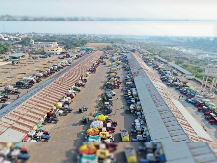 खरगाेन मंडी में 30 हजार क्विंटल कपा