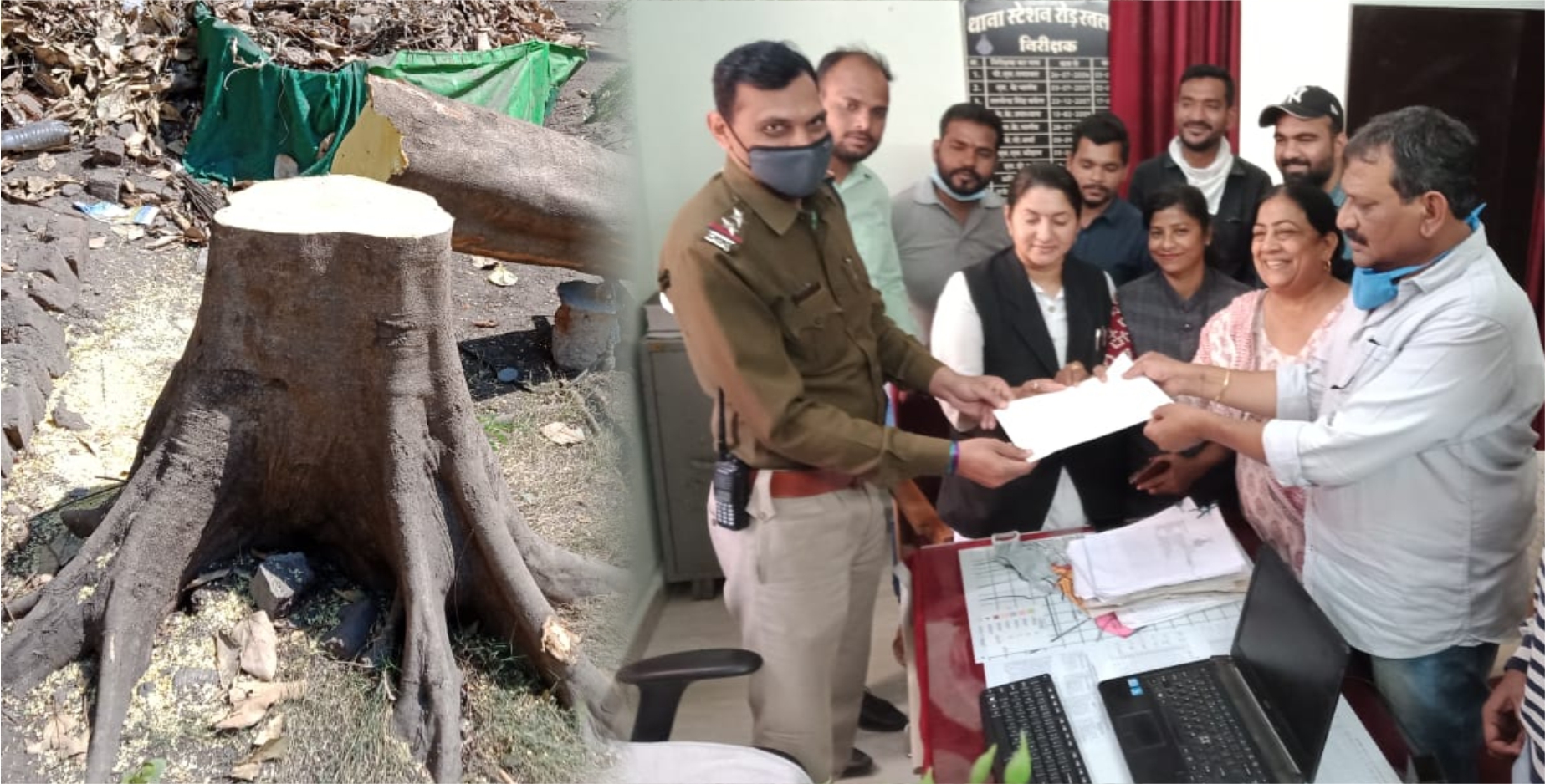 विकास के नाम पर हरे भरे पेड़ो की हत्