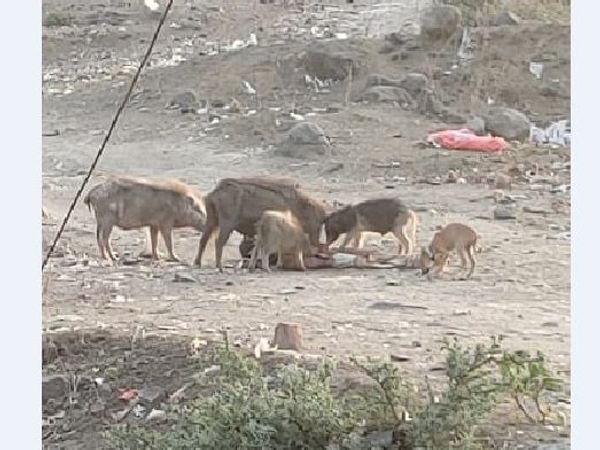 कोलार में सबसे ज्यादा सख्त लॉकडाउन,
