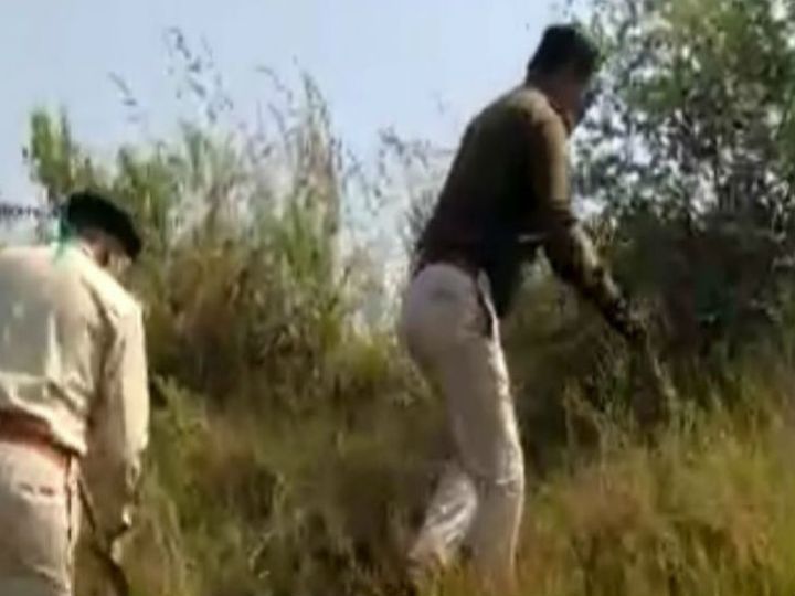 जंगली सूअर के लिए बिछाया था बिजली त