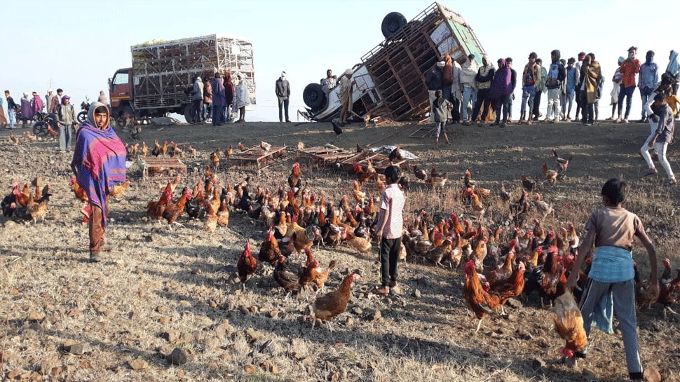 बड़वानी में मुर्गियों से भरा पिकअप 