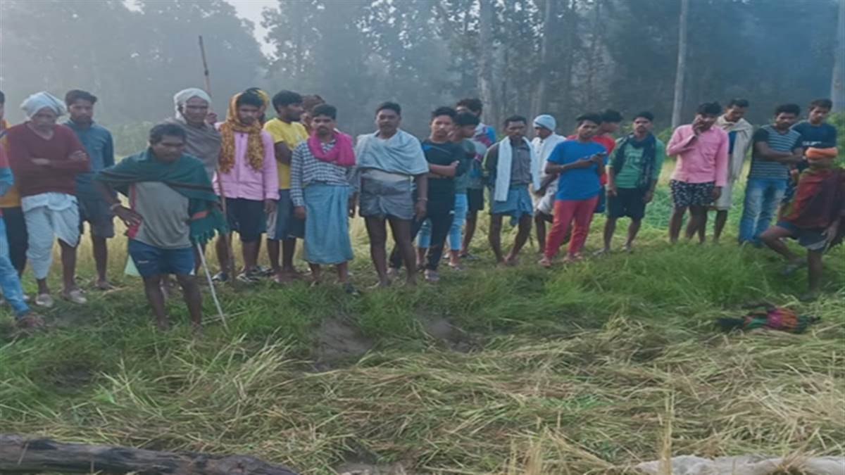 मचान पर खेत की रखवाली कर रहे किसान 